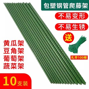 爬藤架花架葡萄番茄豆角黄瓜架子包塑钢管植物种菜搭架园艺支撑杆