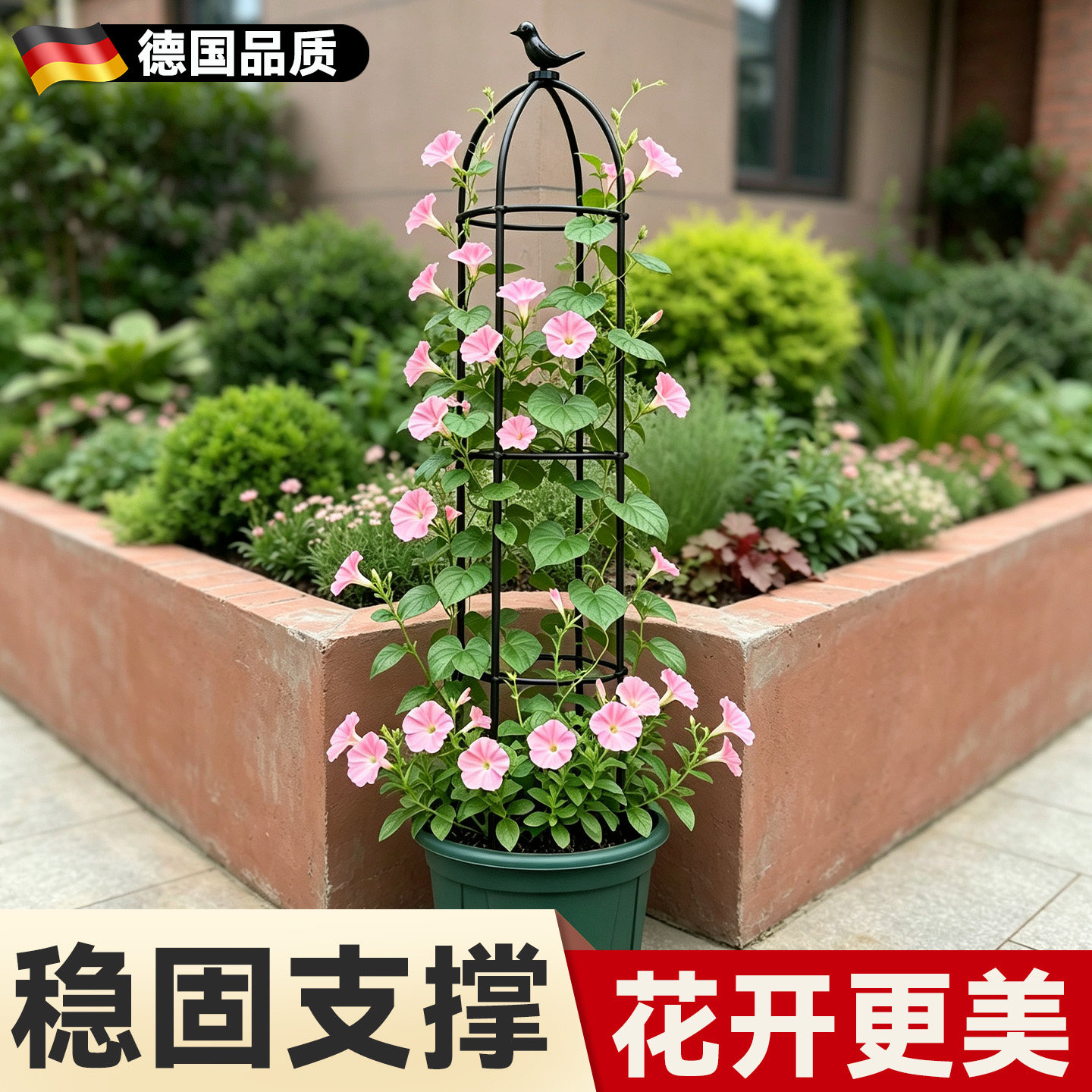 牵牛花爬藤架花支架支撑杆阳台盆栽昙花球兰造型花架爬藤架花爬架图片
