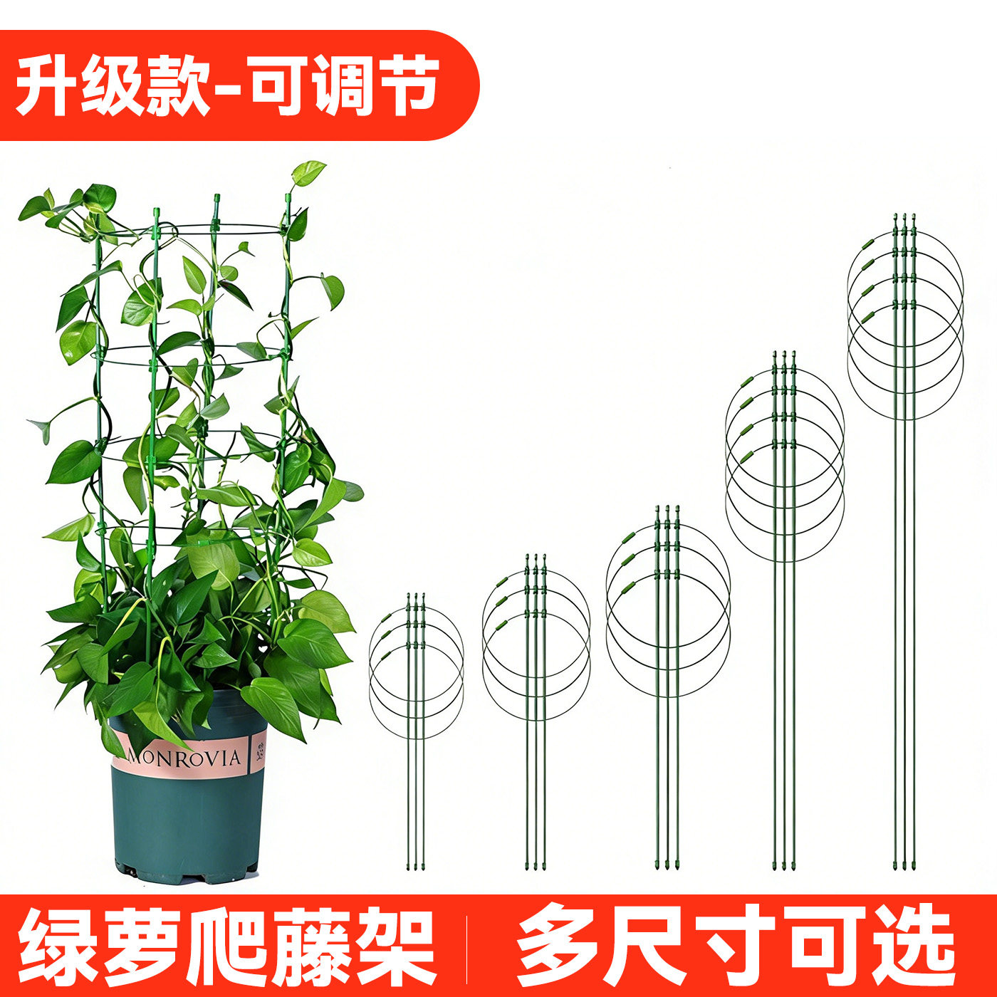 绿萝爬藤架花架支撑杆花盆园艺支柱月季铁线莲植物防倒伏攀爬支架