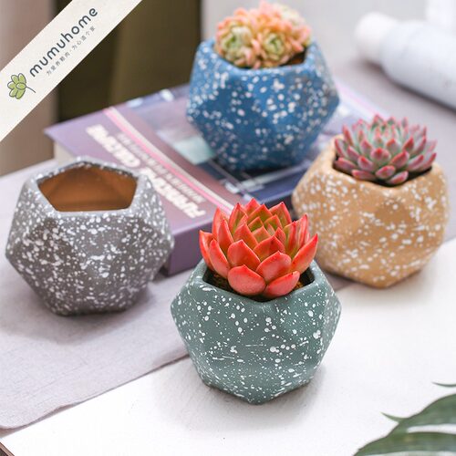 趣味花盆价格 趣味花盆图片 星期三