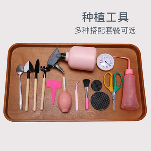 花卉小铁铲 云南直发MuMuHome多肉植物盆栽喷水壶种花园艺工具套装