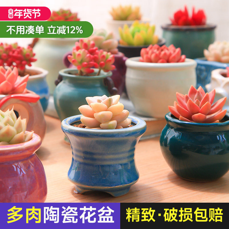盆器多肉植物小摆放可爱简约花卉办公桌微景观精个性透气陶瓷花盆,鲜花速递/花卉仿真/绿植园艺,花盆,淘宝优惠券,粉丝福利购,淘宝优惠卷