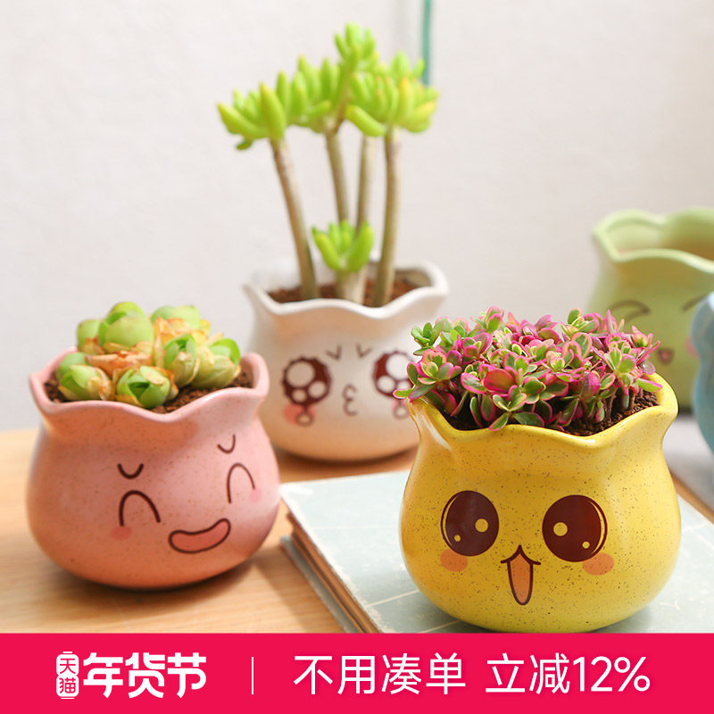 可爱表情花盆多肉植物花盆创意简约多色透气陶瓷花盆,鲜花速递/花卉仿真/绿植园艺,花盆,淘宝优惠券,粉丝福利购,淘宝优惠卷