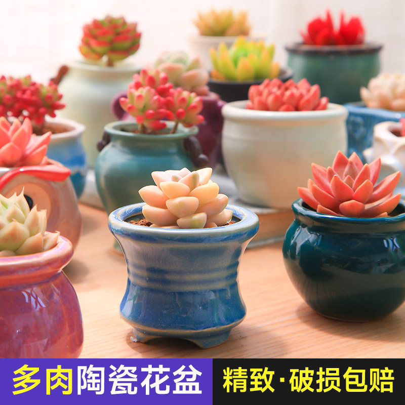 盆器多肉植物小摆放可爱简约花卉办公桌微景观精个性透气陶瓷花盆