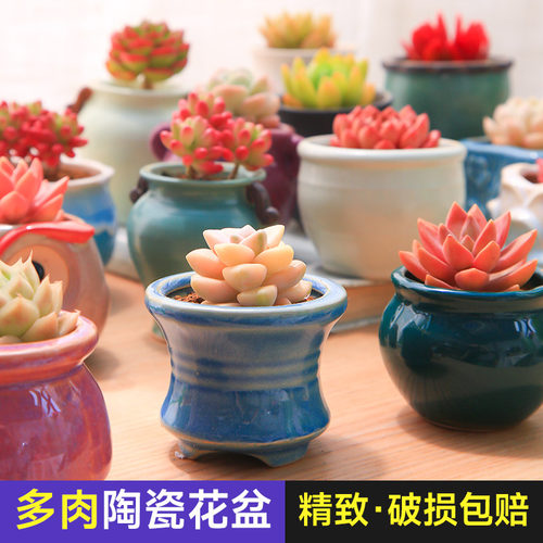 盆器多肉植物小摆放可爱简约花卉办公桌微景观精个性透气陶瓷花盆