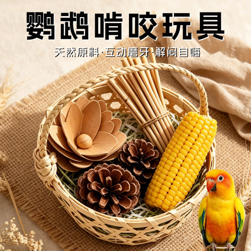 鹦鹉啃咬玩具天然磨牙解闷自嗨