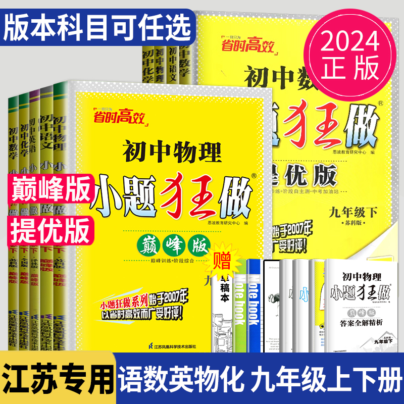 2024初中物理小题巅峰九年下册