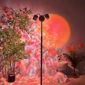 2025新款 双头水波纹氛围灯网红日落直播背景美容院客厅卧室落地灯