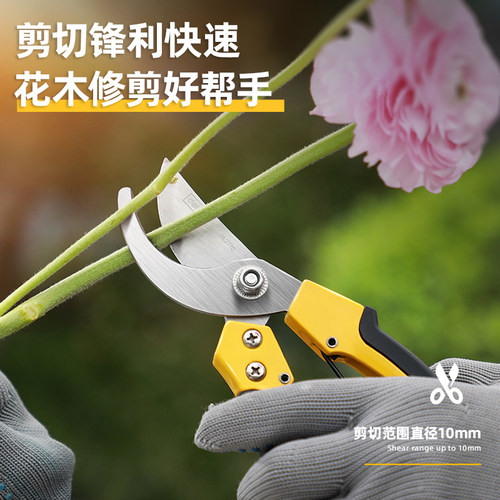 得力果树修枝剪刀园艺花艺家用