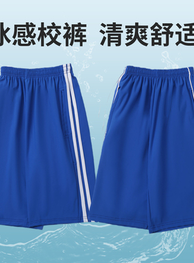 冰丝短裤宝蓝色校服裤子二条杠短裤夏季薄款五分裤高中小学生校裤