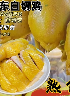 湛江鸡安铺鸡白切鸡大扇鸡大阉鸡散养土鸡农村走地鸡农家土鸡散养
