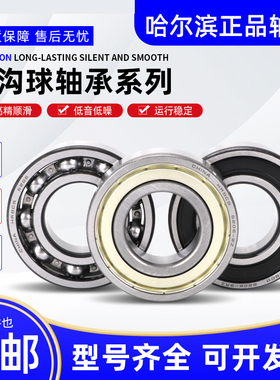 哈尔滨轴承6918 6919 6920 6921 6922 6924 6926 6928 6930ZZ/2RZ