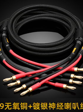 ATAUDIO R9发烧级无氧铜带镀银神经线音箱喇叭线音响线连接专用线