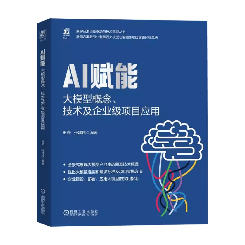 AI赋能 大模型概念 技术及企业级项目应用 deepseek教程 张建伟 著 计算机与互联网
