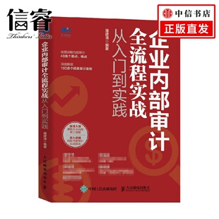 经济 著 企业内部审计全流程实战从入门到实践 屠建清