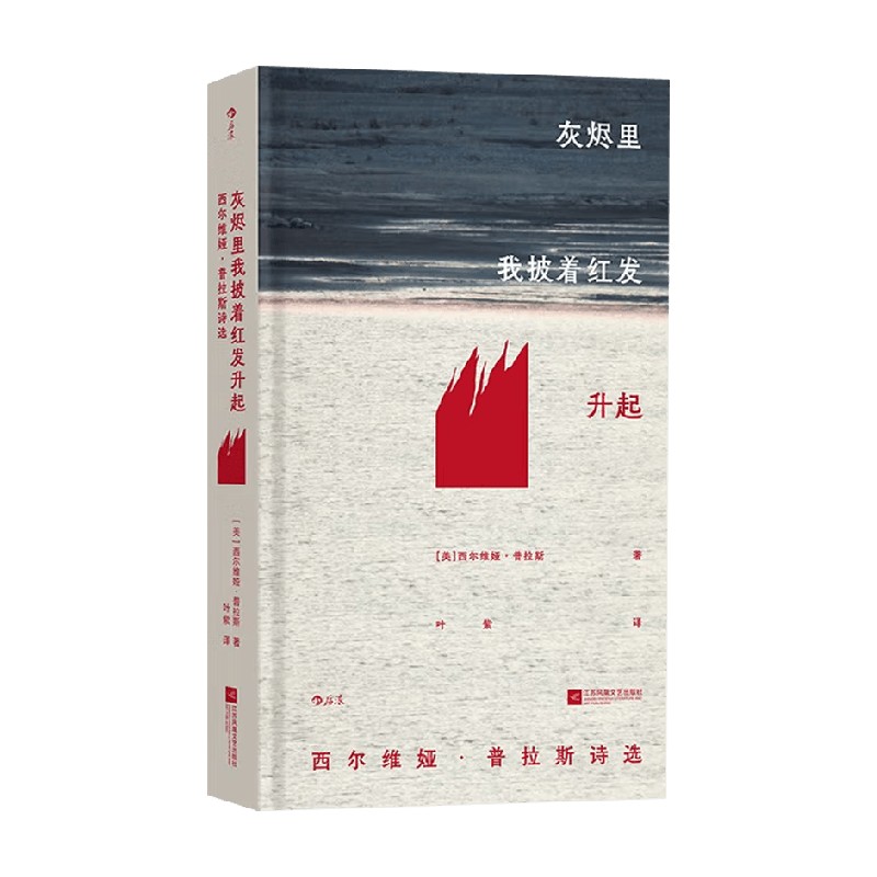 灰烬里我披着红发升起