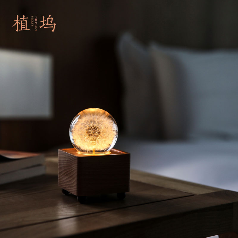 蒲公英蓝牙音箱夜灯 植坞木质水晶球永生花生日男女礼物文创