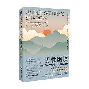 男性困境 他们内心的创伤 恐惧与愤怒 詹姆斯·霍利斯 著 心理学