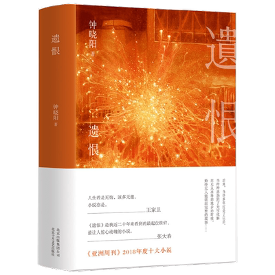 遗恨 钟晓阳 著 小说