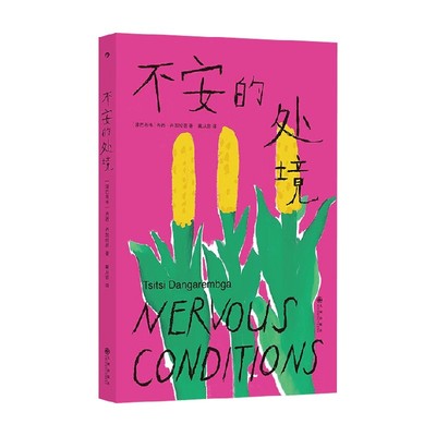 不安的处境齐西·丹加伦芭