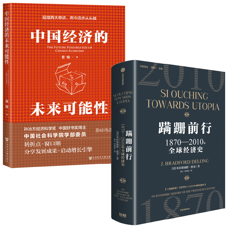 蹒跚前行+中国经济的未来可能性
