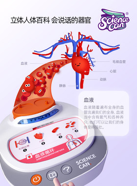 科学罐头我们的身体语言百科科普教育儿童人体器官可拆卸玩具套装礼物文创