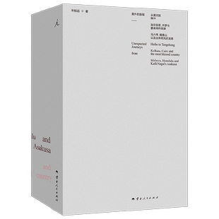 意外的旅程 许知远著 漫游十五年 首次结成 旅行三书 十三邀 探寻世界 横穿中国 散文