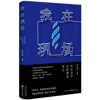 我在现场：性社会学田野调查笔记 黄盈盈 等 人文社科