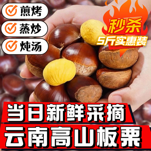 云南新鲜板栗2026今年新鲜生板栗