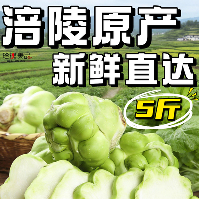 新鲜榨菜头5斤青菜头农家自种重庆涪陵特产正宗榨菜头全形疙瘩