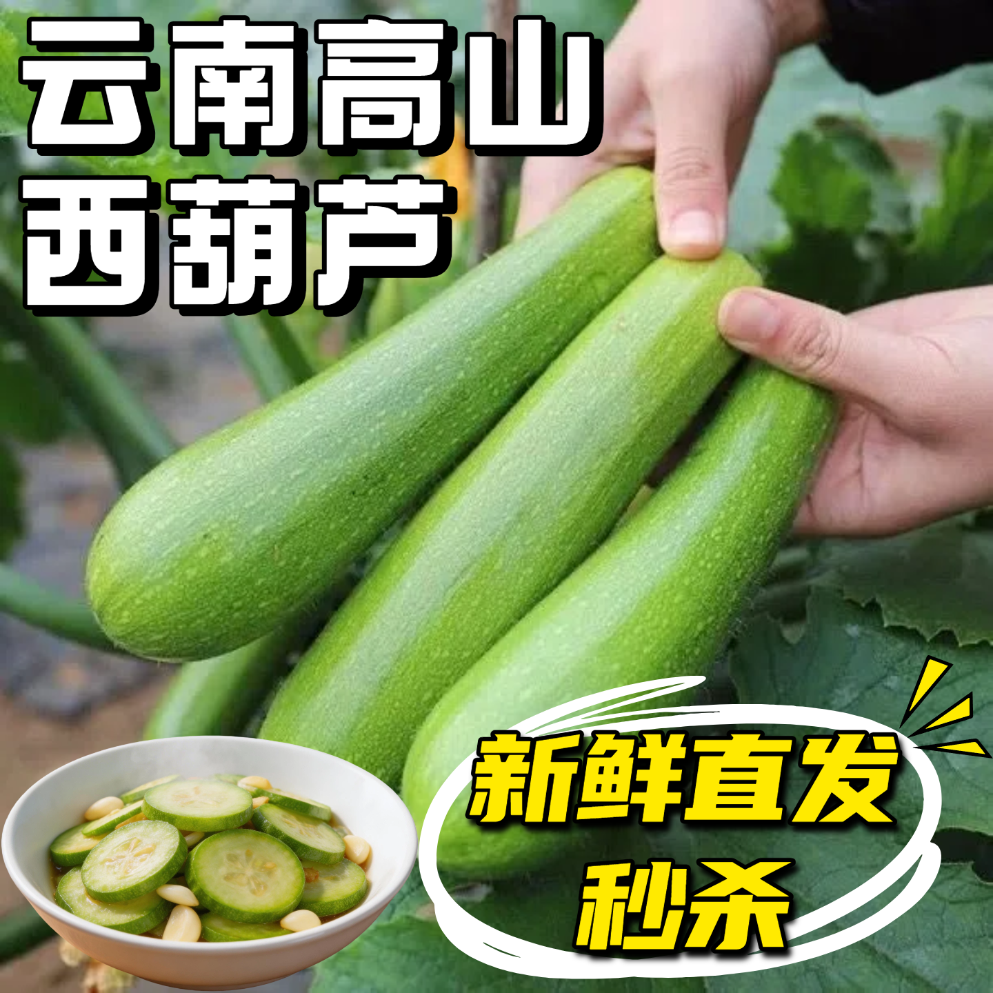 精选新鲜云南西葫芦瓜产地直发鲜嫩茭瓜三月瓜三叶瓜小瓜应季蔬菜
