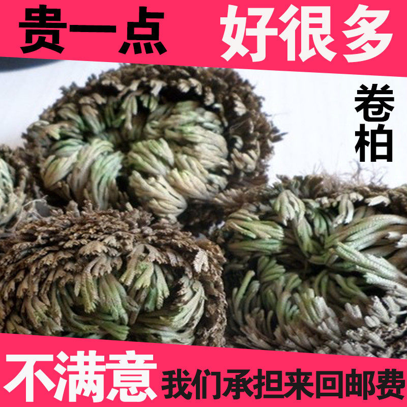中药材 新货卷柏/九死还魂草/长命草/长生不死草/万岁草 1斤包邮