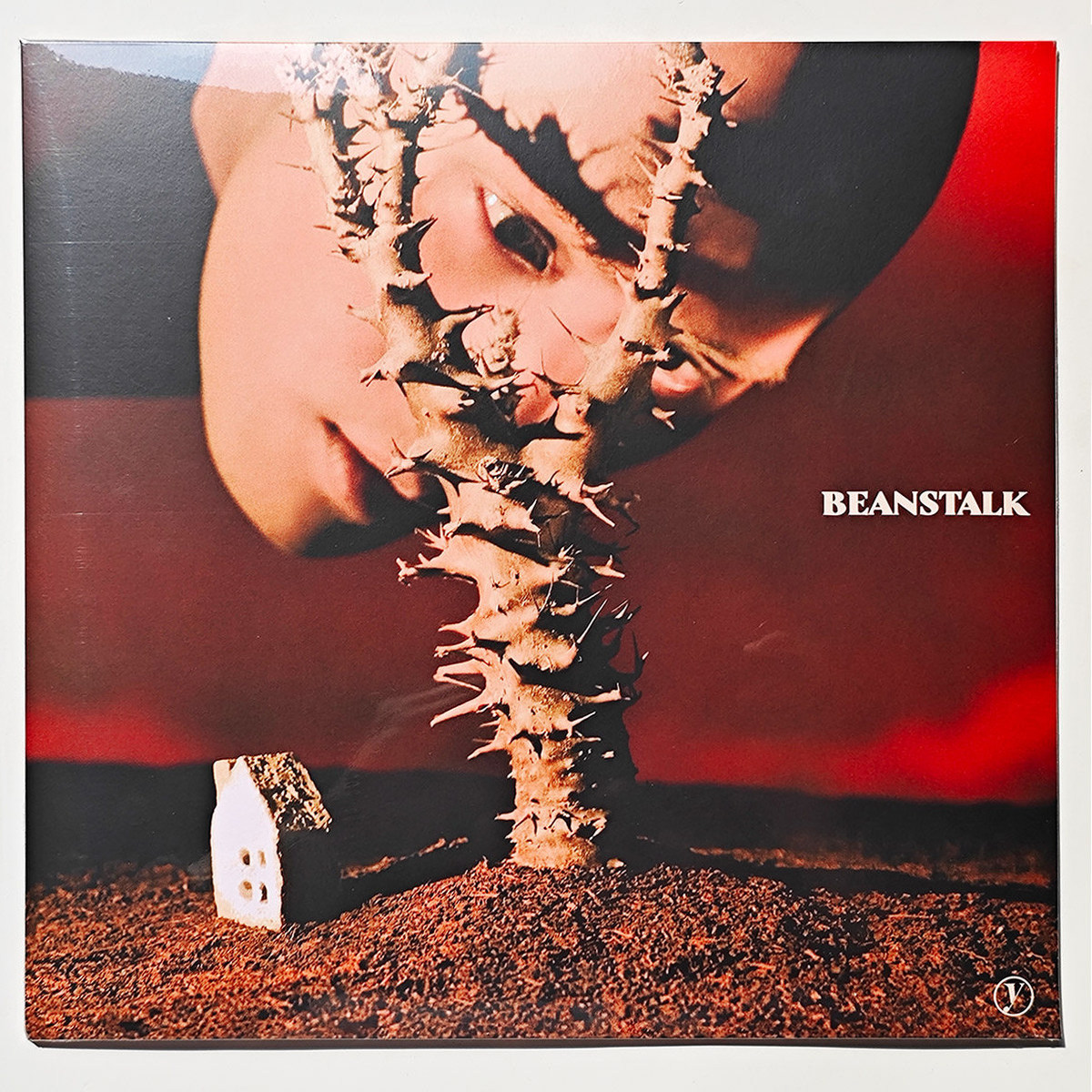 正版 Yellow 黄宣 Beanstalk 12寸黑胶唱片LP  融合爵士摇滚乐