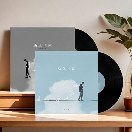 官方正版 毛不易实体专辑《幼鸟指南》LP黑胶唱片 12寸唱盘双碟