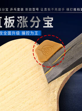 涨分宝直板乒乓球拍发力涨分宝