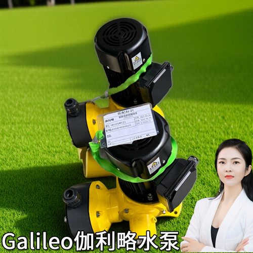 自吸计量泵bb10pvp4计量泵gm400计量泵质量计量泵陕西伽利略泵