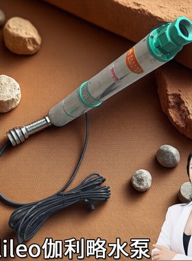 变频流量千瓦天津排水泵扬程米寸进口三相优质大型浸式不锈钢泵