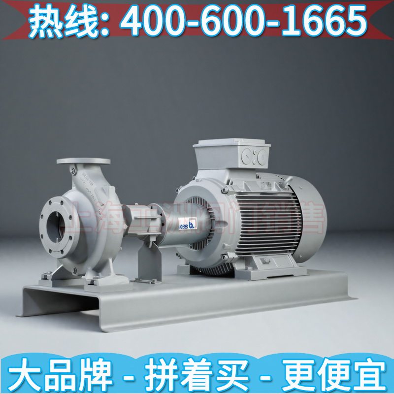 ksb德国凯士比Etanorm 油泵ksb ksb热媒泵