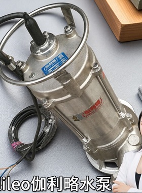 便水排污泵族箱微型22ov进口的不锈钢耐磨潜污水药电泵三相喷泉泵