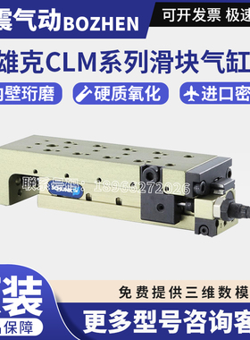 雄克SCHUNK原装CLM10-H34/314006紧凑滑块滑台气动气缸25/50/200
