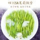 川派飘雪茉莉花茶浓香耐泡型正宗四川雅安高山茶5A级特级嫩芽新茶