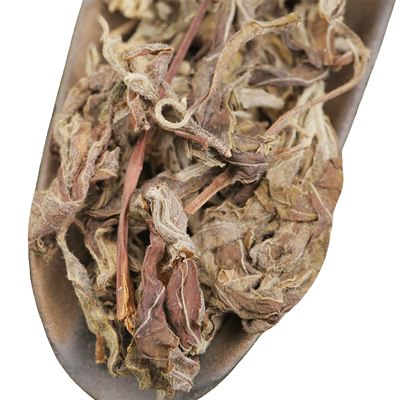 四川老鹰茶嫩芽叶免煮重庆特产火锅茶餐饮工地用老阴老人茶老荫茶