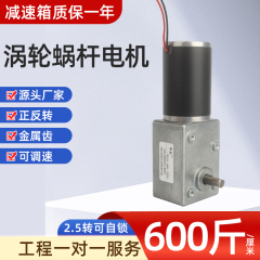 50W大力矩涡轮蜗杆减速电机12V/24V微型直流电机50ZY直流减速电机