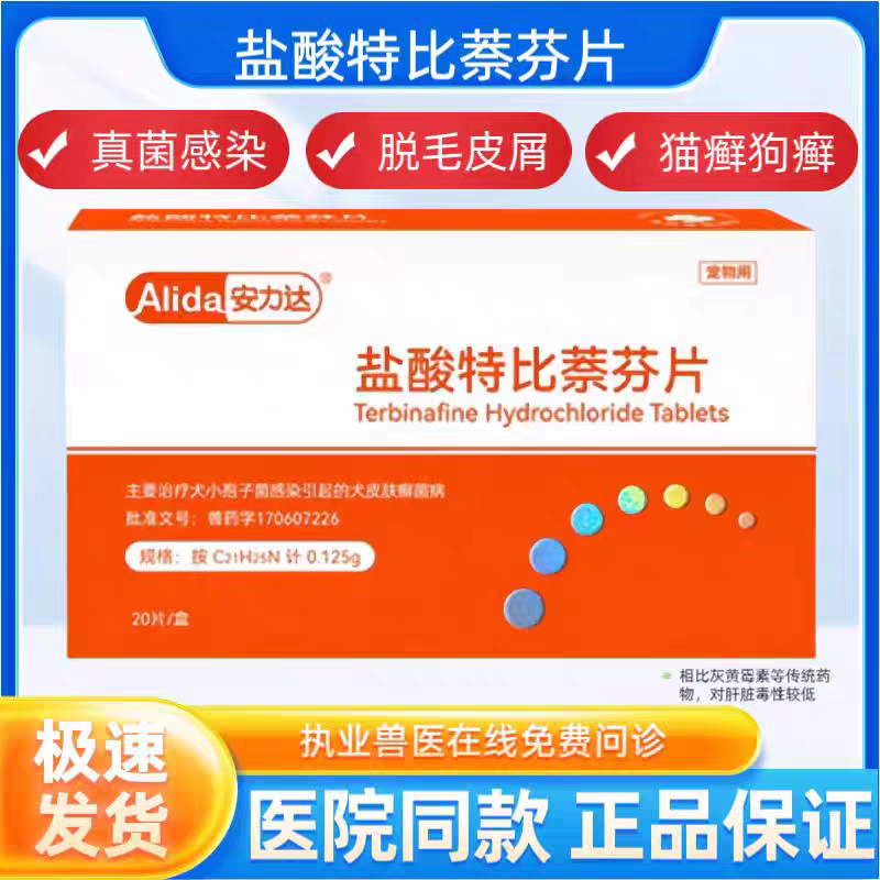 狗真菌猫癣宠物皮肤病狗皮肤病