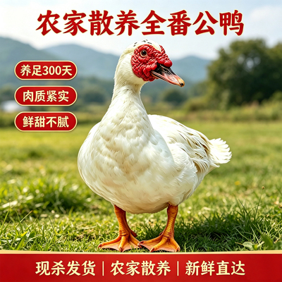 农家散养整只300天新鲜土鸭