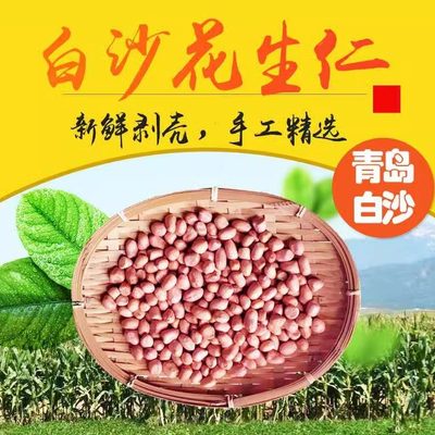 青岛生的农家手剥纯干白沙花生米  山东不带壳精选花生仁种植新货