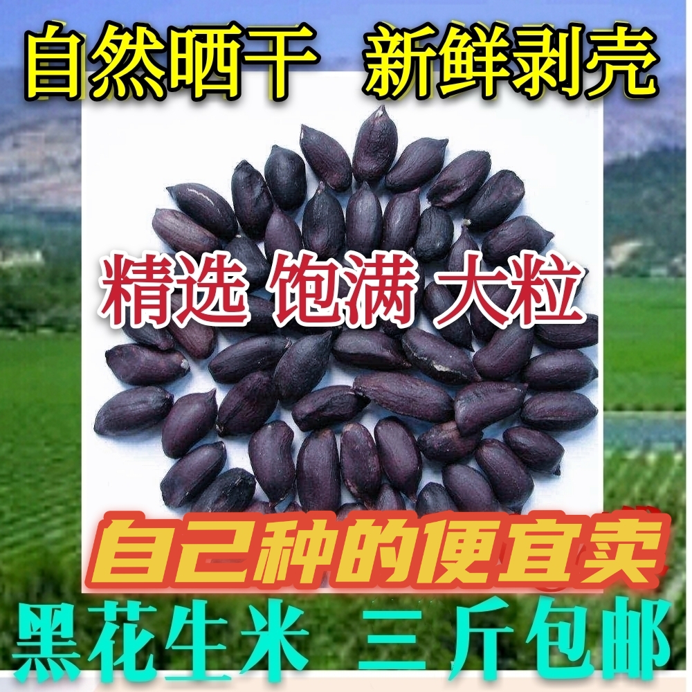 生的新货大粒山东黑花生米500g  精选养胃瘪籽黑花生米农家自种