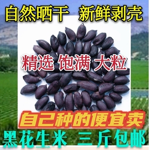 精选养胃瘪籽黑花生米农家自种 生 新货大粒山东黑花生米500g