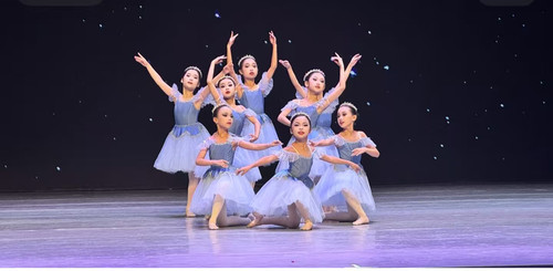 芭蕾舞裙女童蓬蓬裙儿童专业舞蹈服幼儿小天鹅舞蹈演出服公主纱裙