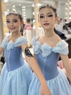 儿童芭蕾舞裙女童艾莎公主蓝色舞蹈演出服专业蓬蓬裙表演服春夏款